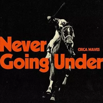 CIRCA WAVES / サーカ・ウェーヴス / NEVER GOING UNDER (CD)