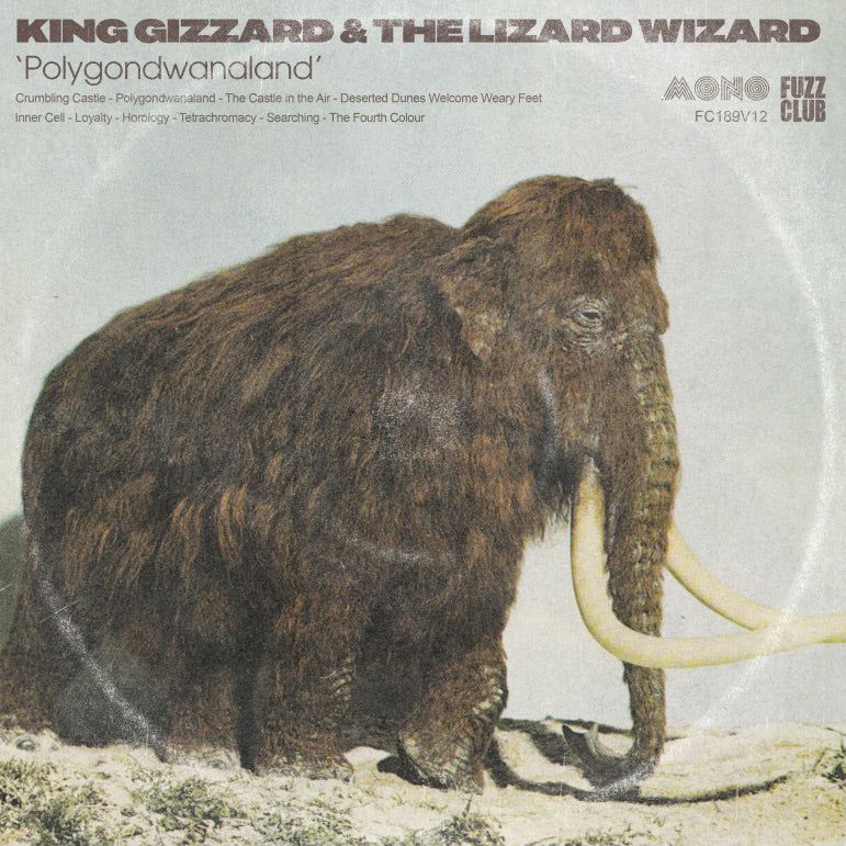 KING GIZZARD AND THE LIZARD WIZARD / キング・ギザード&ザ・リザード・ウィザード / POLYGONDWANALAND (MONO)