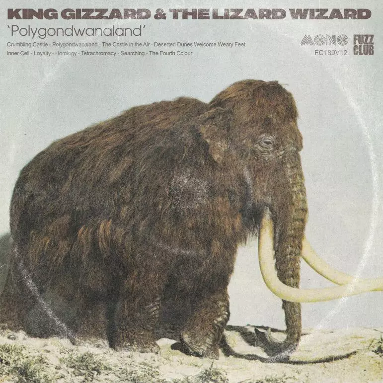 KING GIZZARD AND THE LIZARD WIZARD / キング・ギザード&ザ・リザード・ウィザード / POLYGONDWANALAND (MONO)