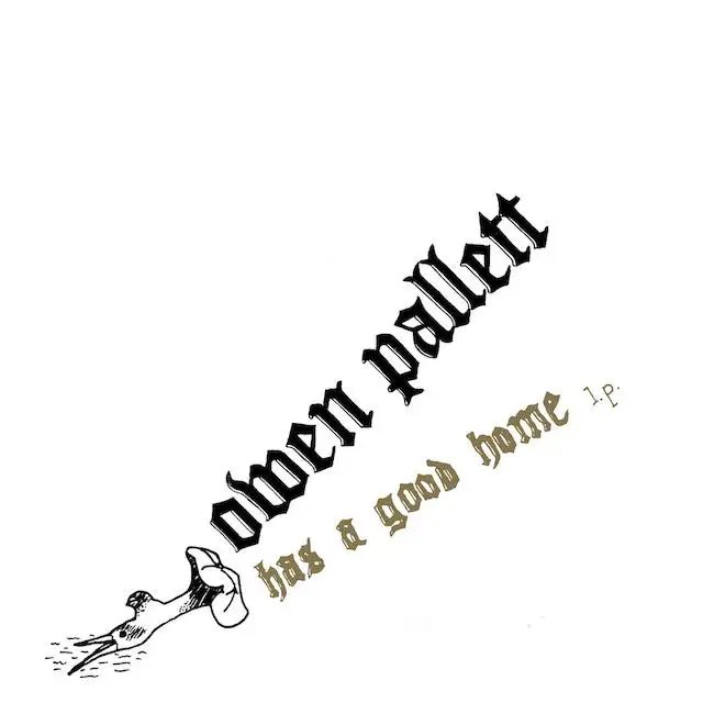 OWEN PALLETT / オーウェン・パレット / HAS A GOOD HOME(LP)