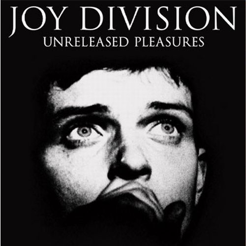 JOY DIVISION / ジョイ・ディヴィジョン / UNRELEASED PLEASURES (VINYL)