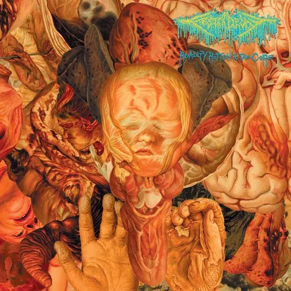 ゴアグラインド Lord Goreセット CD コレクション REALITY ROTTEN TO THE CORE/FESTERDECAY｜HARDROCK & HEAVYMETAL