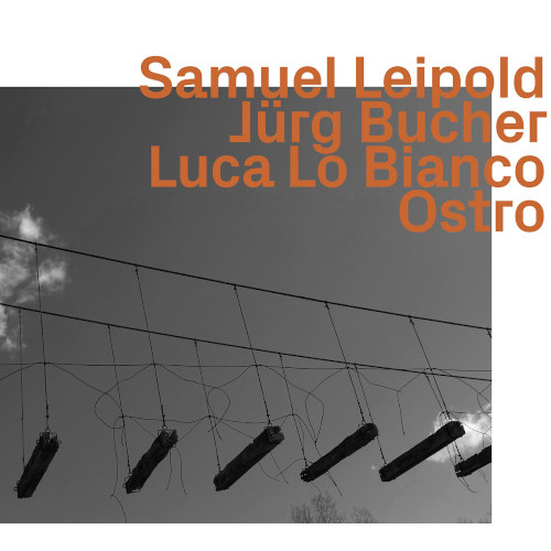 SAMUEL LEIPOLD / Ostro