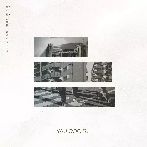 YAJICO GIRL / Indoor Newtown Collective 初回限定盤(CD+写真集)