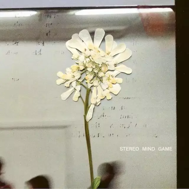 DAUGHTER (UK) / STEREO MIND GAME / ステレオ・マインド・ゲーム
