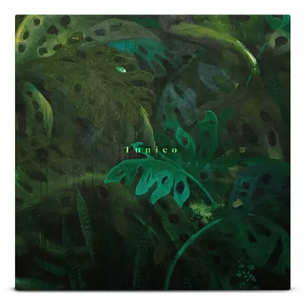 Nebulosa / Slip Away/Kenichiro Nishihara/Kenichiro Nishihara