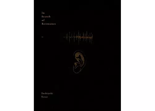 TOSHIYUKI TERUI / 照井利幸 / 響きを求めて / In Search of Resonance