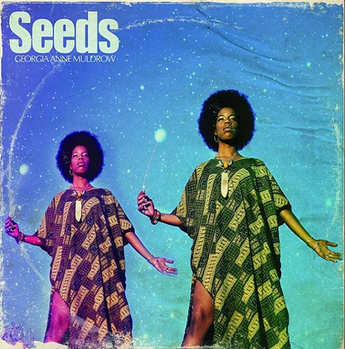 Georgia Anne Muldrow – Seeds 2LP 1stプレス - 洋楽