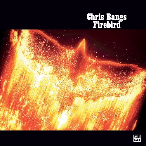 CHRIS BANGS / クリス・バンズ / FIREBIRD