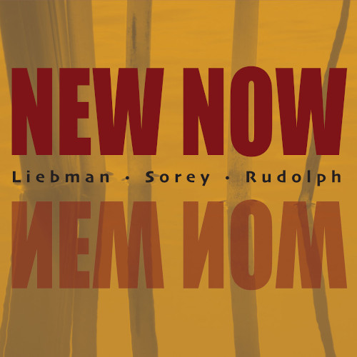DAVE LIEBMAN (DAVID LIEBMAN) / デイヴ・リーブマン / New Now