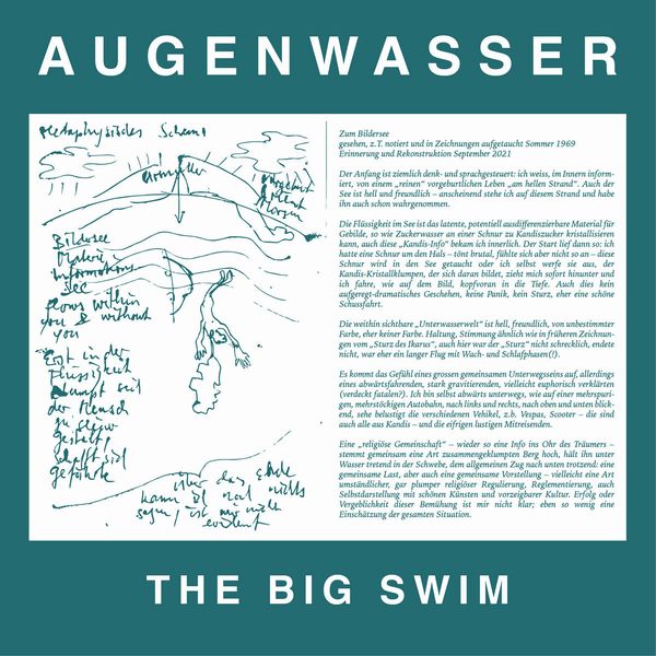 AUGENWASSER / BIG SWIM(LP)