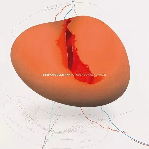 STEFAN GOLDMANN / ステファン・ゴールドマン / IN AGGREGATE / CAROB