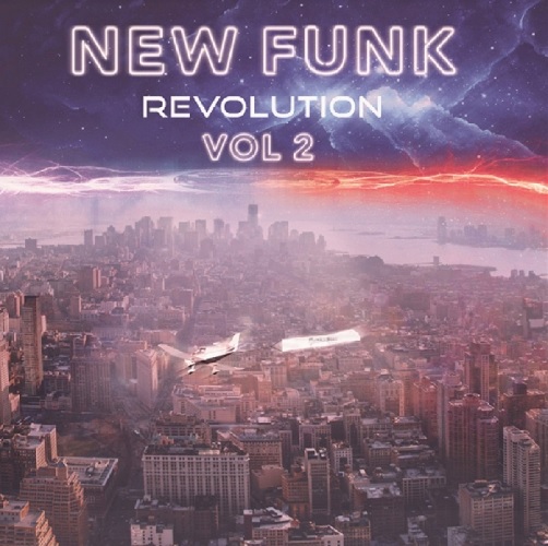 V.A. (NEW FUNK) / NEW FUNK REVOLUTION VOL.2 (LP)