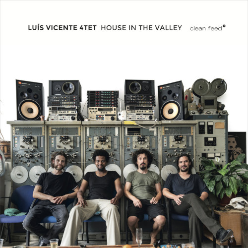 LUIS VICENTE / House In The Valley