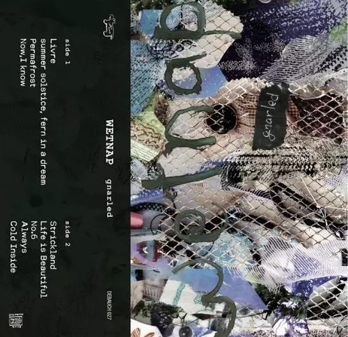 WETNAP / gnarled(MT)