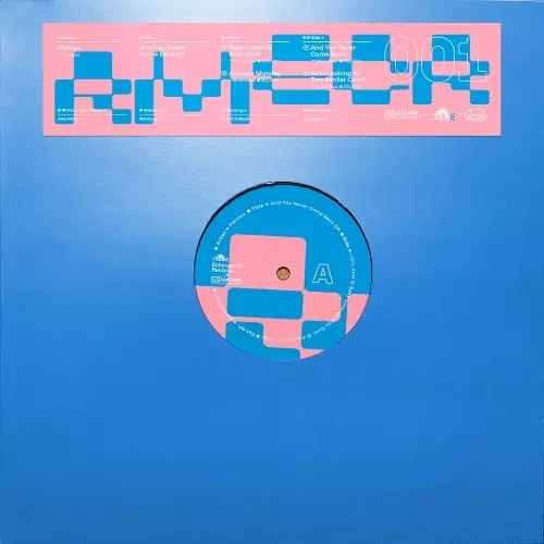 PLETNEV (HOUSE) / AND YOU NEVER COME BACK EP