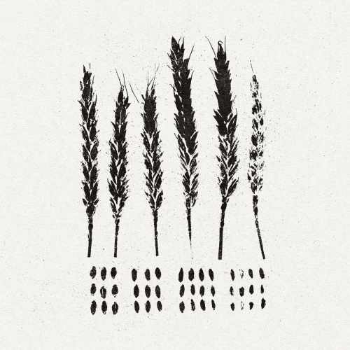 LO! / GLEANERS(BLACK VINYL)
