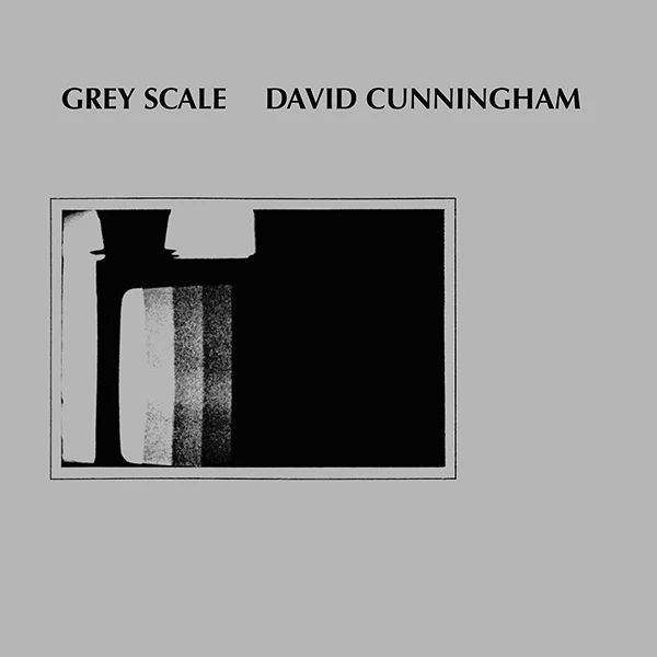 DAVID CUNNINGHAM / デヴィッド・カニンガム / GREY SCALE (CD)