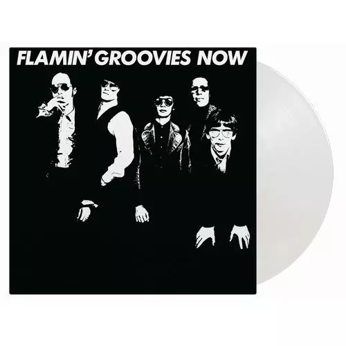 Flamin' Groovies レコード 2枚組 1972年 オリジナル Flamin' Groovies