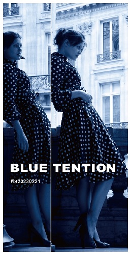 V.A. (BLUE TENTION ) / BLUE TENTION #bt20230221(8cm CD)