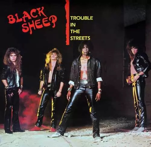 BLACK SHEEP / ブラック・シープ / TROUBLE IN THE STREETS