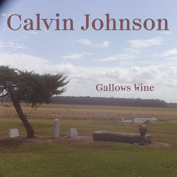 CALVIN JOHNSON / キャルヴィン・ジョンソン / GALLOWS WINE (VINYL)