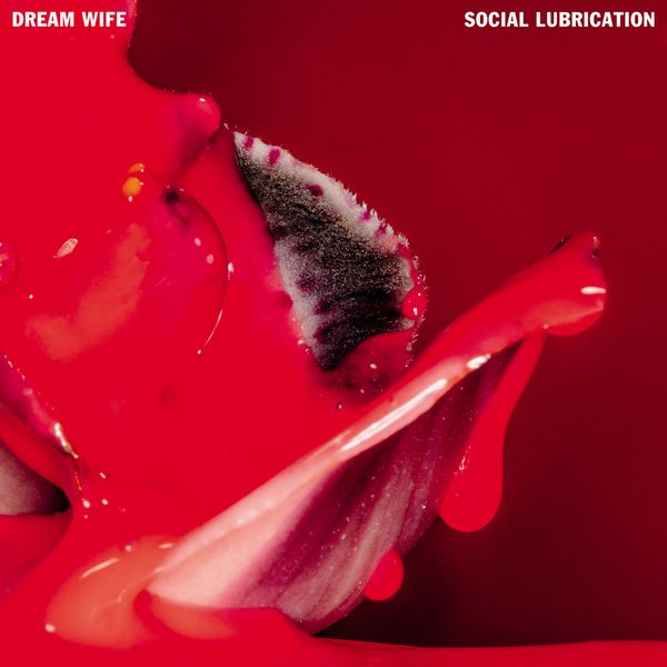 DREAM WIFE / ドリーム・ワイフ / SOCIAL LUBRICATION (CD)