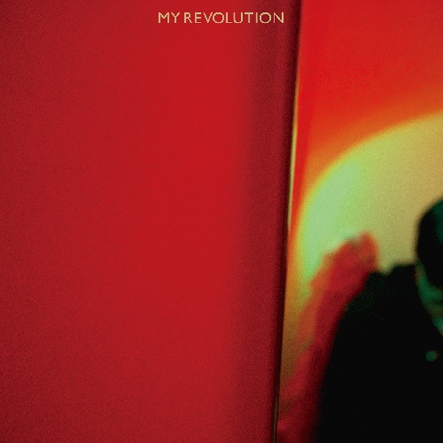 ゆうらん船 / MY REVOLUTION(LP)