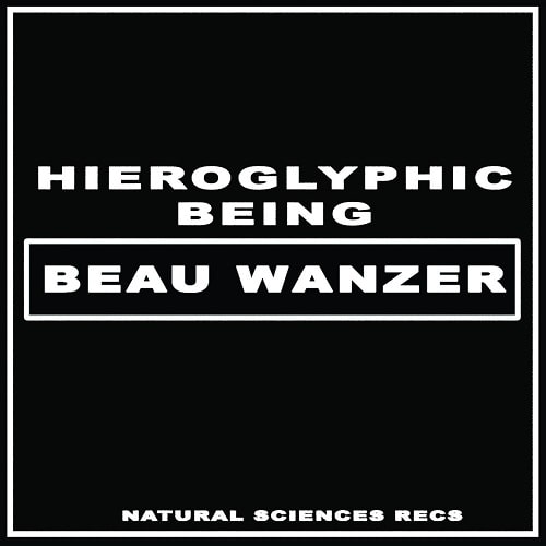 BEAU WANZER / HIEROGLYPHIC BEING / 4 DYSFUNCTIONAL PSYCHOTIC RELEASE & SONIC REPROGRAMMING PURPOSES ONLY