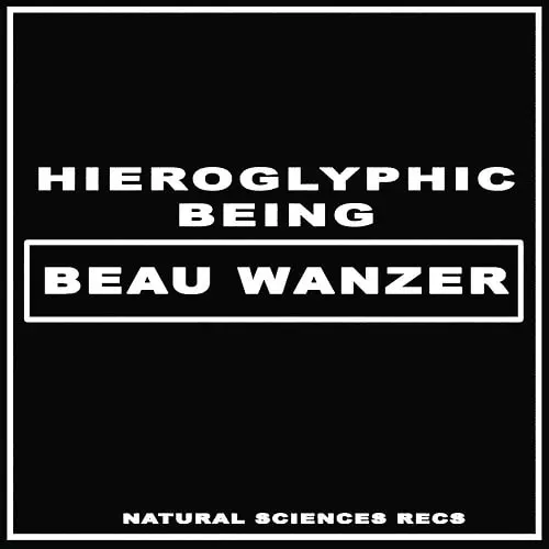 BEAU WANZER / HIEROGLYPHIC BEING / 4 DYSFUNCTIONAL PSYCHOTIC RELEASE & SONIC REPROGRAMMING PURPOSES ONLY