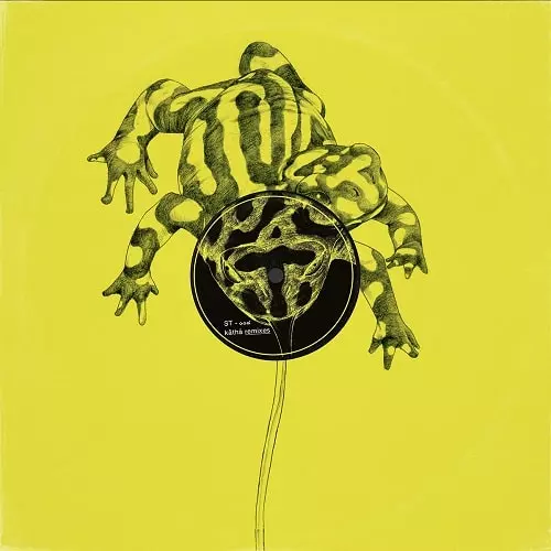 V.A. (SIAMESE TWINS) / KATHA REMIXES