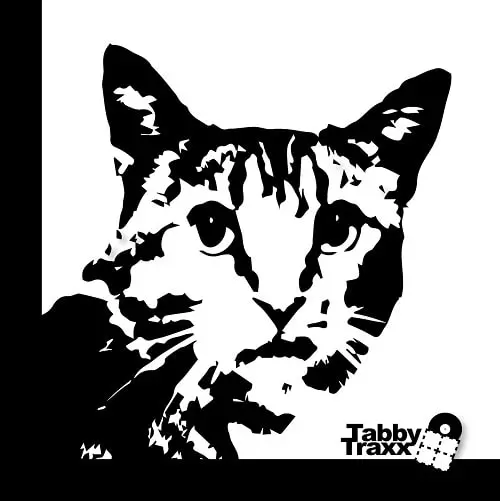 MATTHEW BRIAN / MY NAME IS