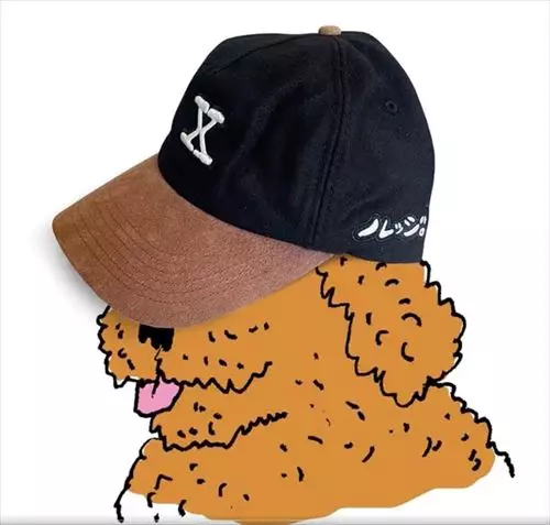 KNX / KNXWLEDGE  / ノレッジ / X "CAP"(BLACK)