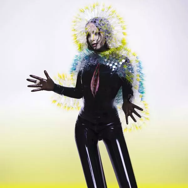 BJORK / ビョーク / VULNICURA