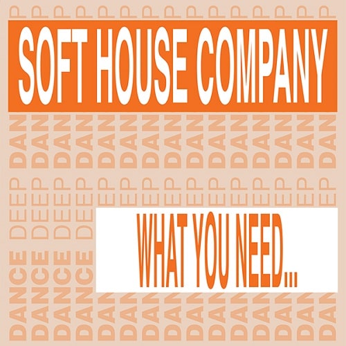 SOFT HOUSE COMPANY / WHAT YOU NEED...
