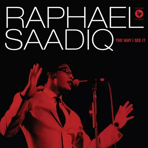 Raphael Saadiq The Way I See It LPレコード WAY I SEE IT 