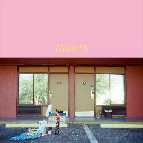 OKAMOTO EMI / おかもとえみ / WWAVESS(10")