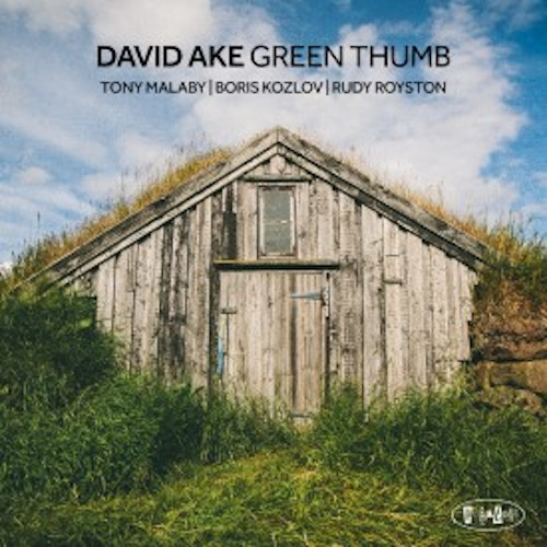 DAVID AKE / デヴィッド・アイク / Green Thumb