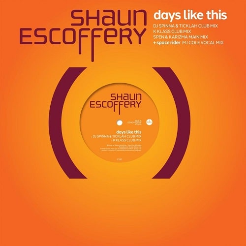 SHAUN ESCOFFERY / ショーン・エスコフェリー / DAYS LIKE THIS (DJ SPINNA REMIX)