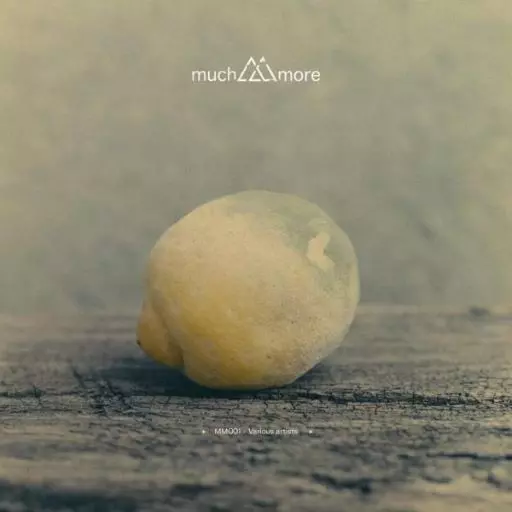 VARIOUS ARTISTS  / V.A. 001