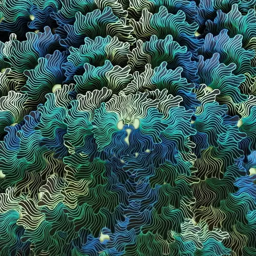 IZANGOMA / イザンゴマ / NGO MA