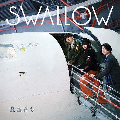SWALLOW (JPN) / 温室育ち