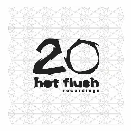V.A. (HOTFLUSH) / 20 (HOTFLUSH 20TH YEAR ANNIVERSARY COMPILATION) 3LP