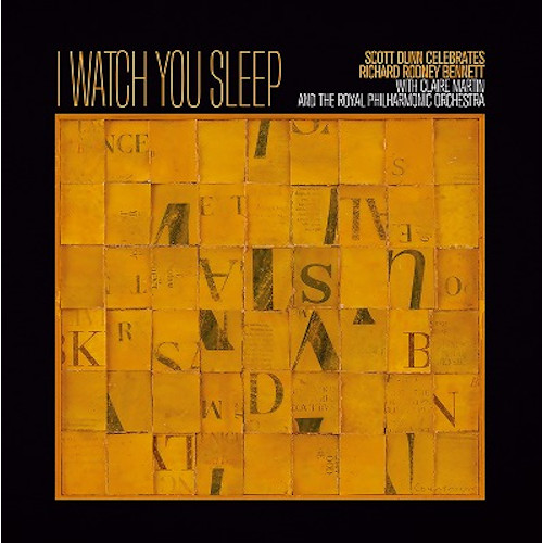 CLAIRE MARTIN / クレア・マーティン / I Watch You Sleep(LP)