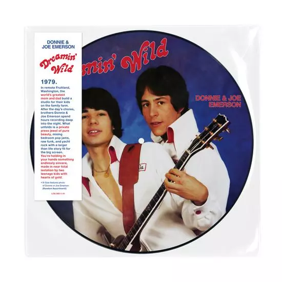 DREAMIN' WILD (BLUE VINYL)/DONNIE & JOE EMERSON/ドニー