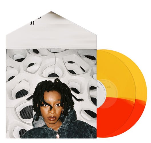 LITTLE SIMZ / NO THANK YOU "2LP" (LIMITED COLOR VINYL)