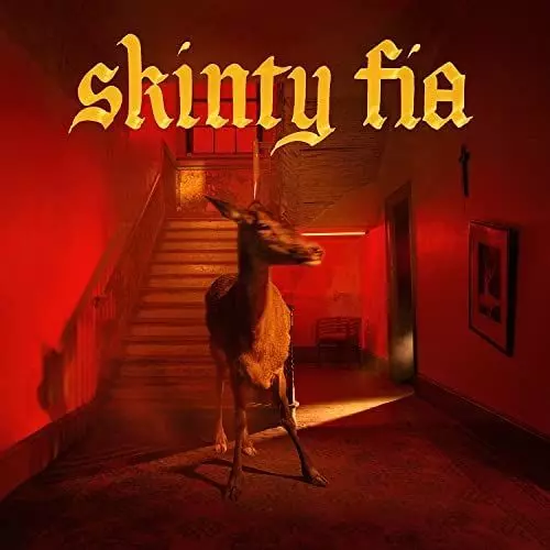 FONTAINES D.C. / フォンテインズ・D.C. / SKINTY FIA