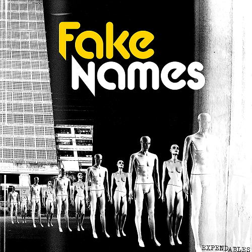 FAKE NAMES / EXPENDABLES (LP)