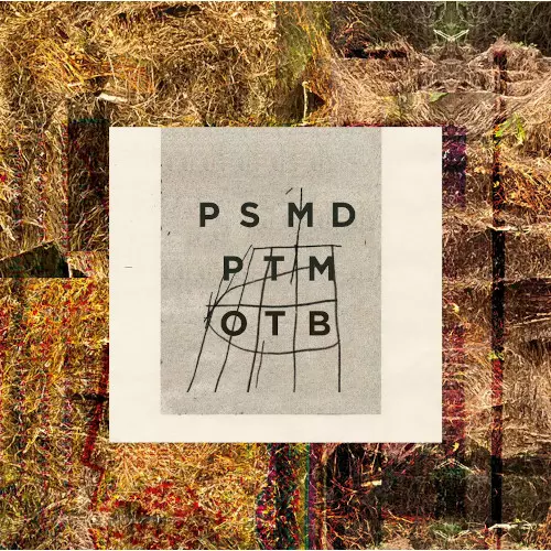 MARC DUCRET / マルク・デュクレ / Palm Sweat: Marc Ducret Plays The Music Of Tim Berne(2LP/45RPM)