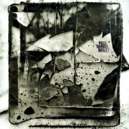 PAUL 'DAMAGE' BAILEY / SUBSURFACE(GREEN MARBLED VINYL / PRINTED SLEEVE)